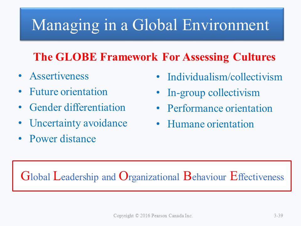 Learning organizations in global environment do